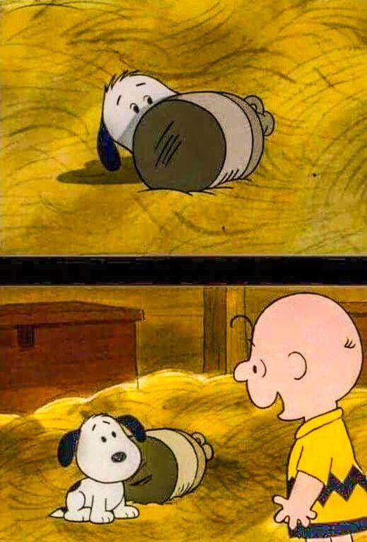 Charlie meets his best friend